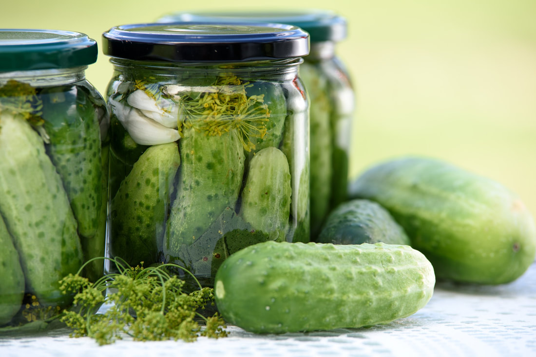 picked cucumbers preserves prepper survivalist canning 