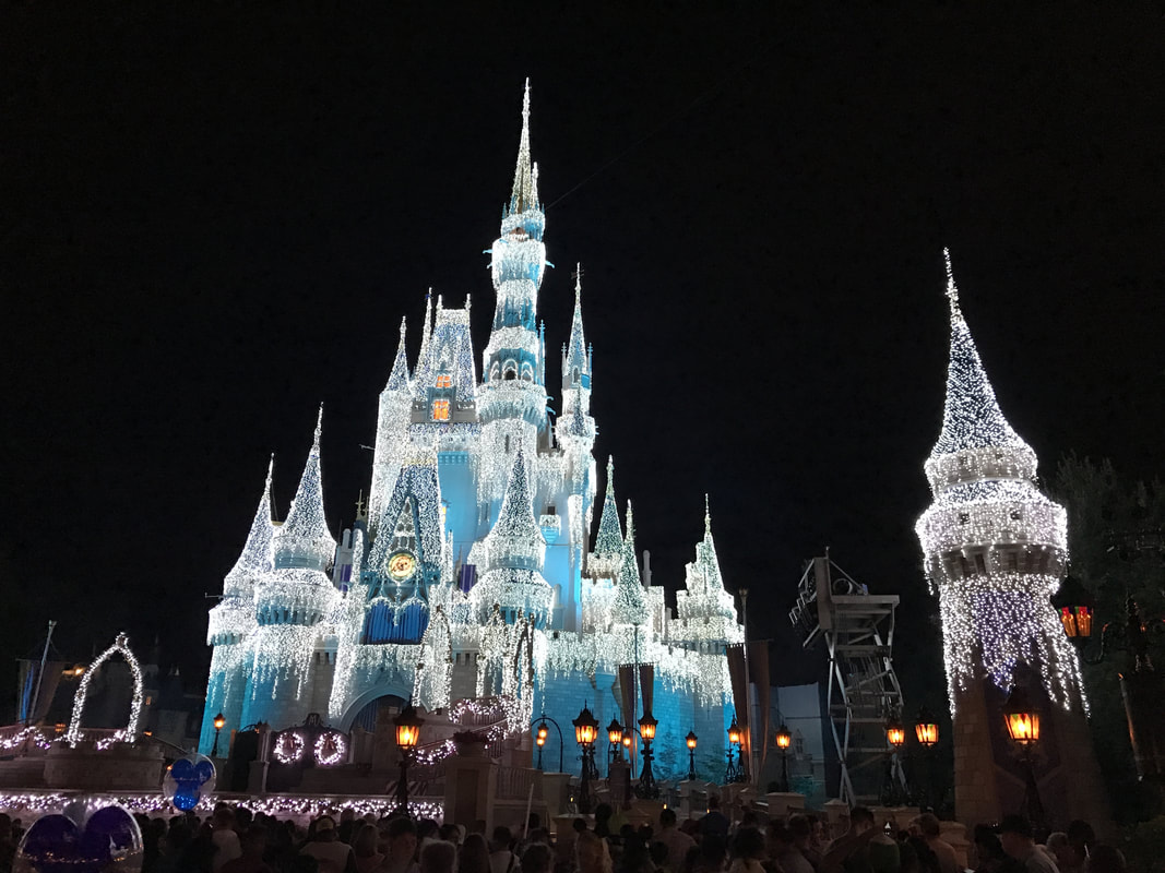 Cinderella's castle at night